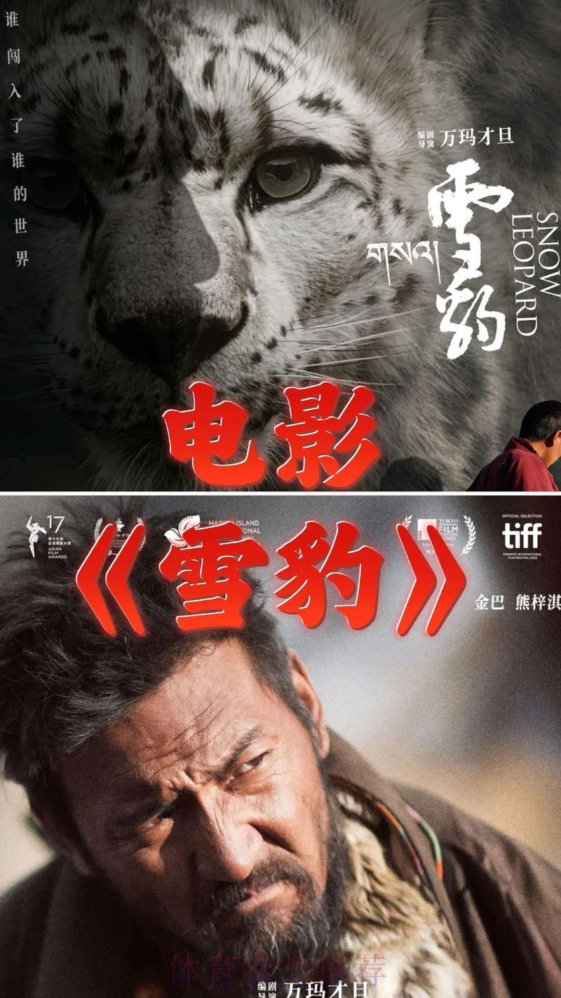 2020中甲专刊: 第二十五期《天山雪豹努力活下去》 2020中甲专刊: 第二十五期《天山雪豹努力活下去》